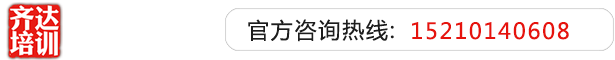 大鸡巴操网红小逼视频齐达艺考文化课-艺术生文化课,艺术类文化课,艺考生文化课logo